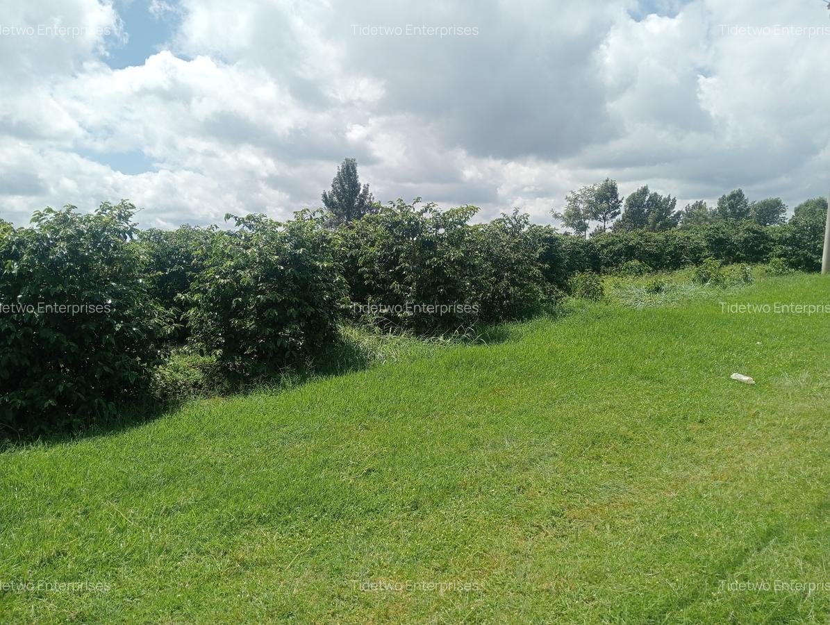 Land in Tigoni - 7