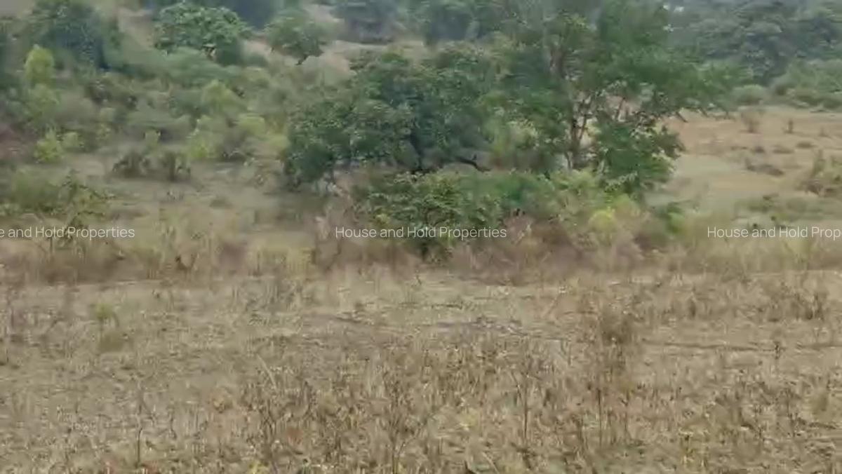 2.8 ha Commercial Land at Tiwi - 7