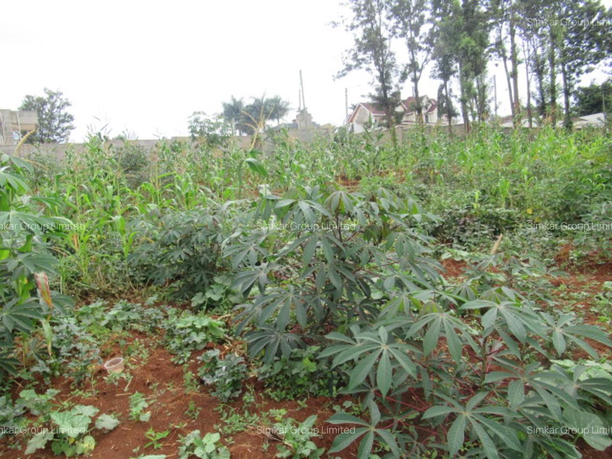 Residential Land at Mushroom Gardens - 14