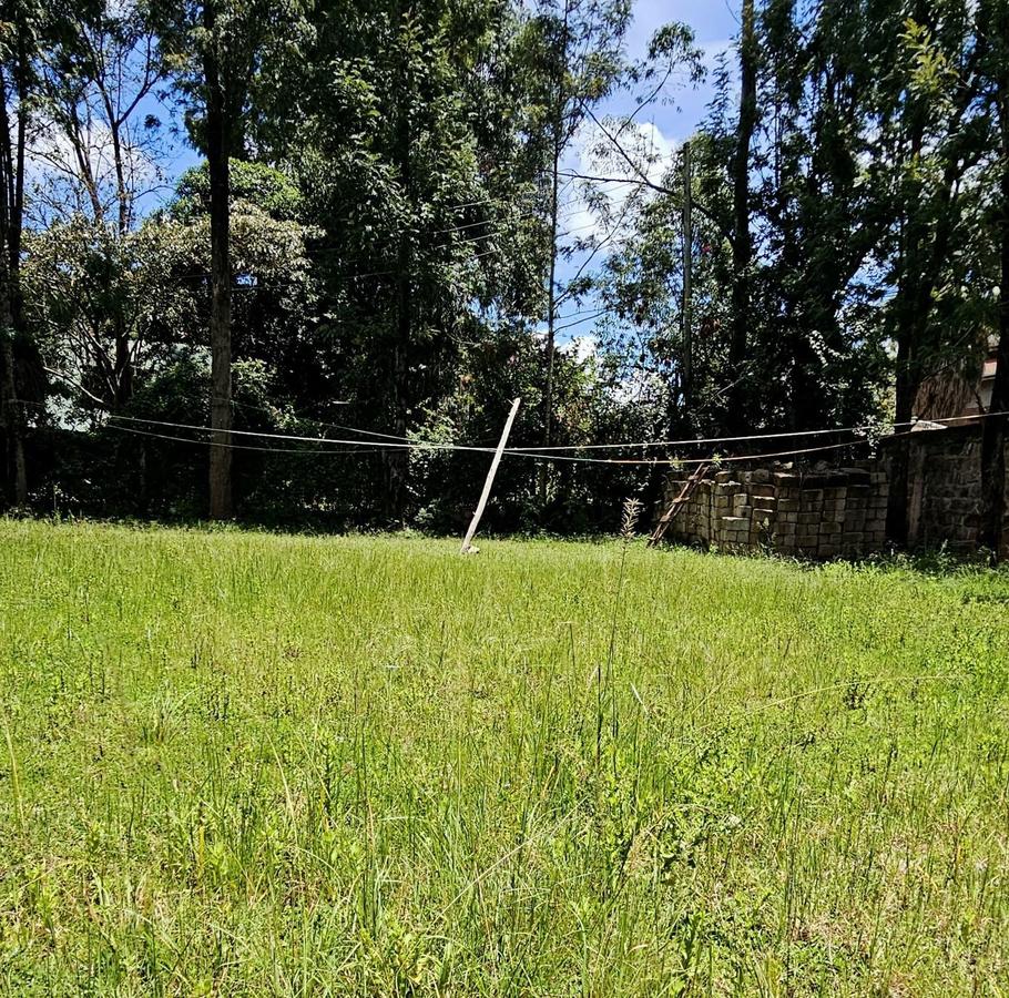 0.5 ac Residential Land at Kerarapon Drive - 1