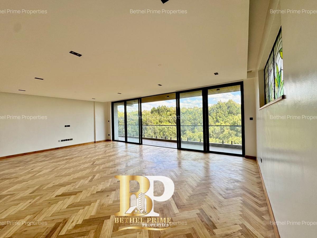 4 Bed Apartment with En Suite in Spring Valley - 7