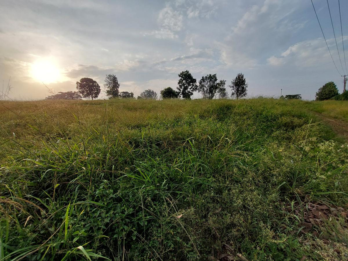 Land at Kitisuru Road - 6