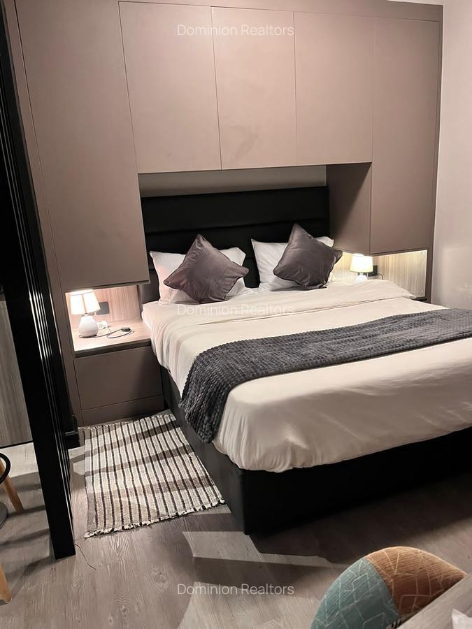 Furnished Studio Apartment with En Suite at Off Raphta Road - 10