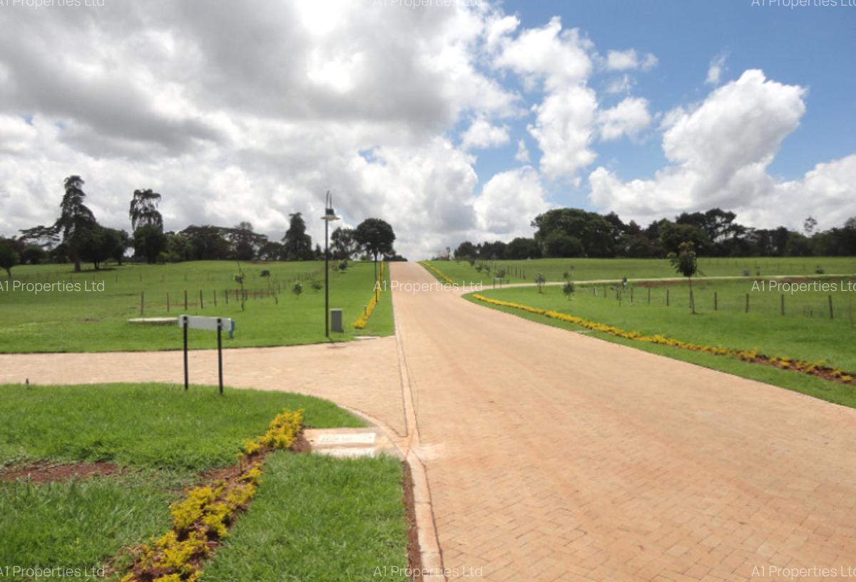 1 ac Land in Karen - 1