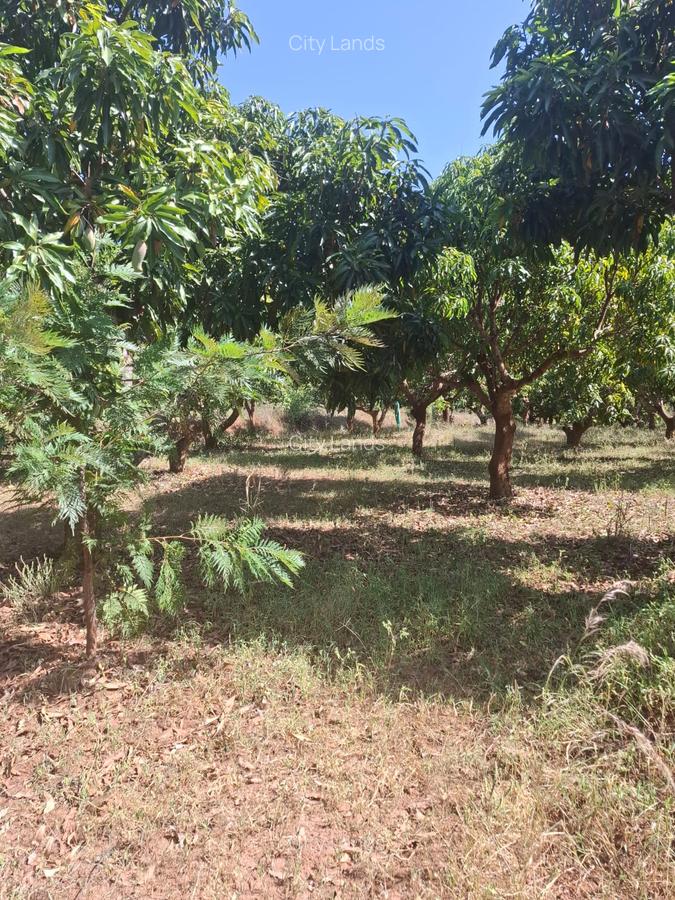 450 ha Residential Land at Sucess Garden Kenol Makuyu - 4