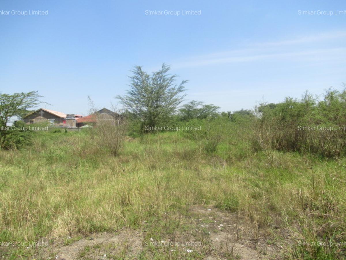 Land at Nyasa Rd - 3