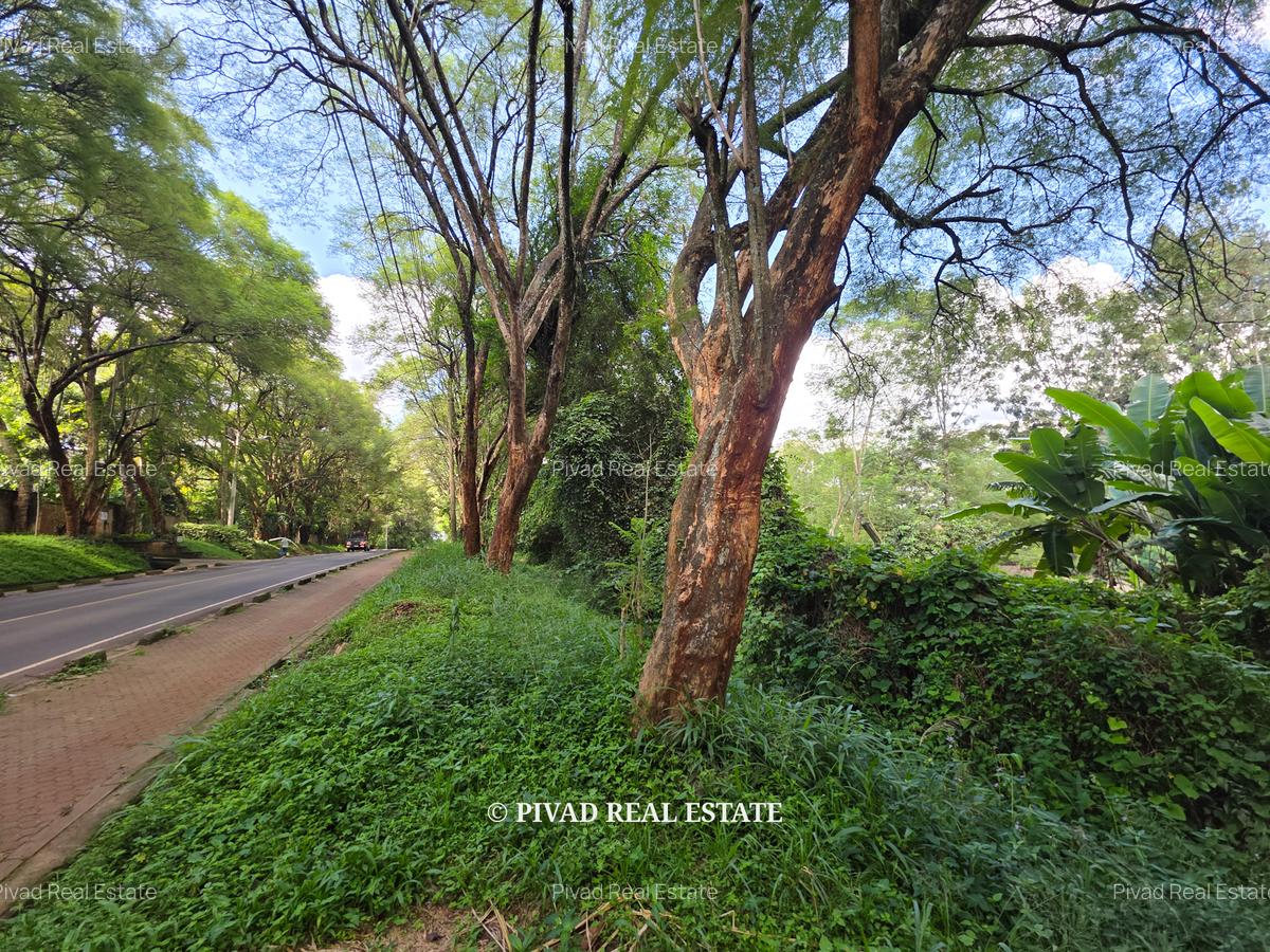 2.3 ac Land in Kitisuru - 7