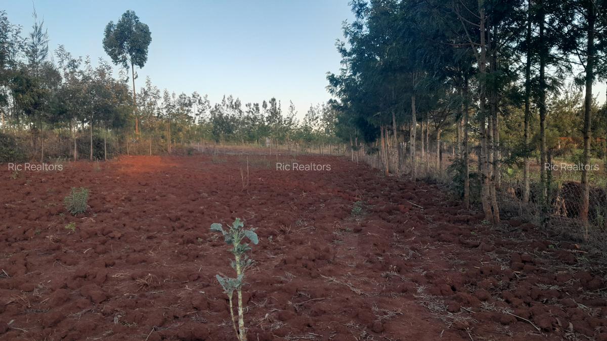 0.25 ac Residential Land at Kibiko - Ngong - 5