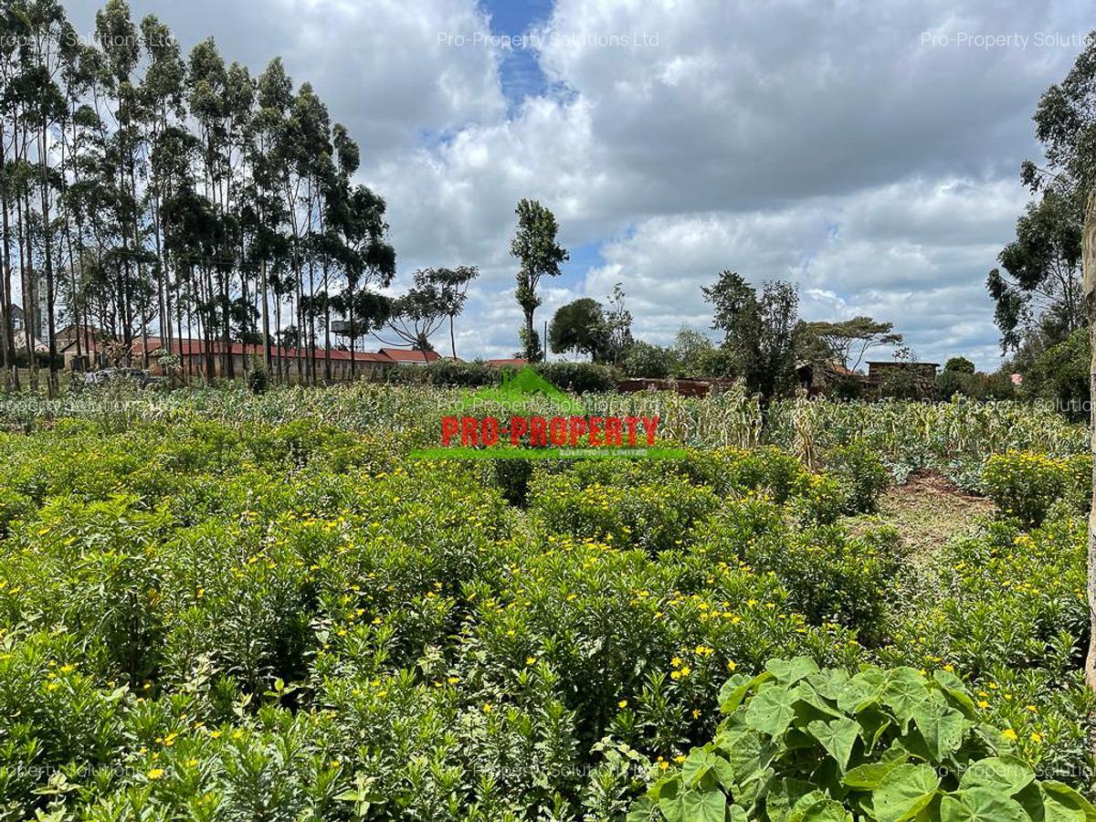 0.4 ha Land at Kamandura - 6