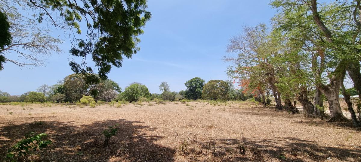 75 ac Land at Vipingo - 5