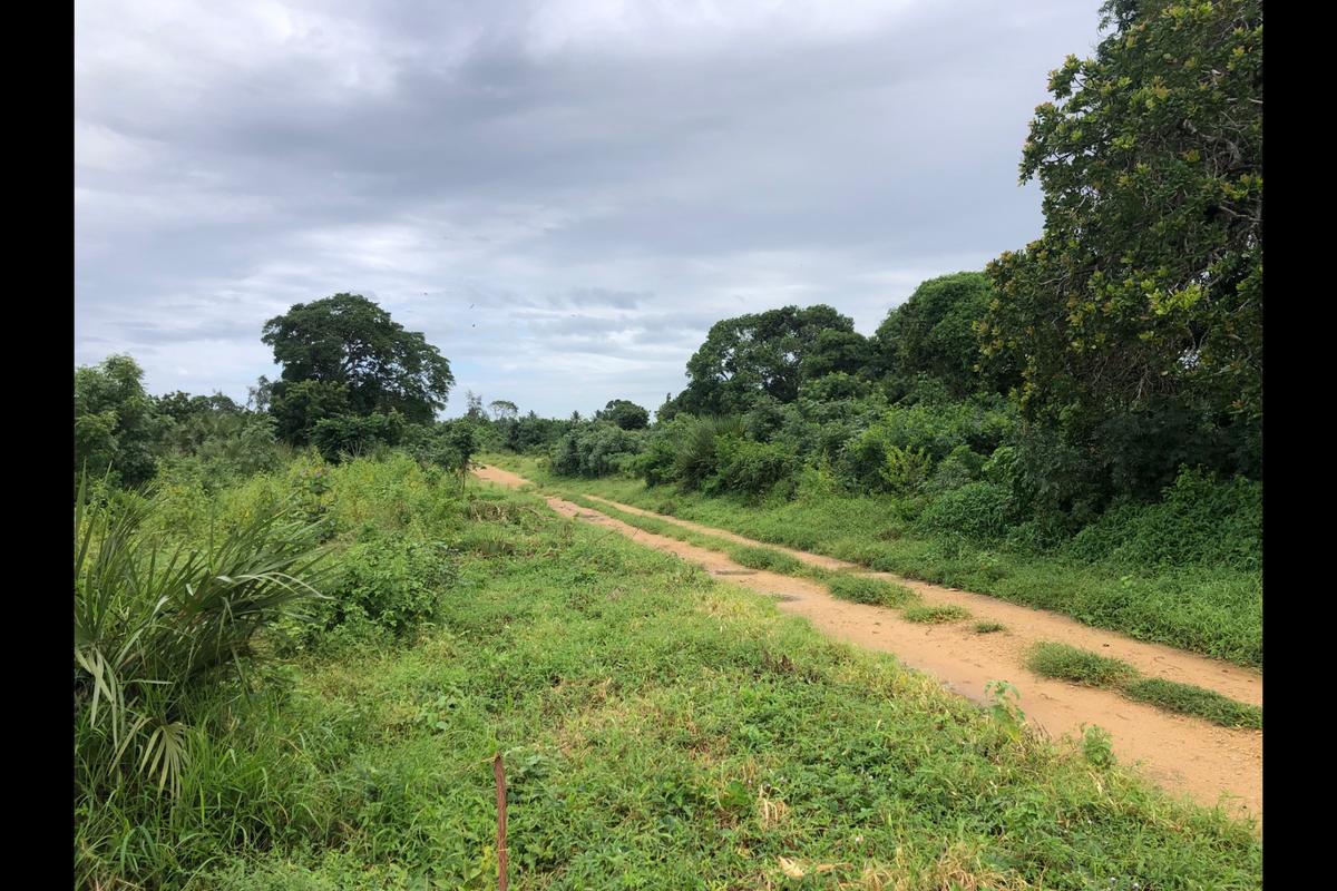 Residential Land in Vipingo - 17