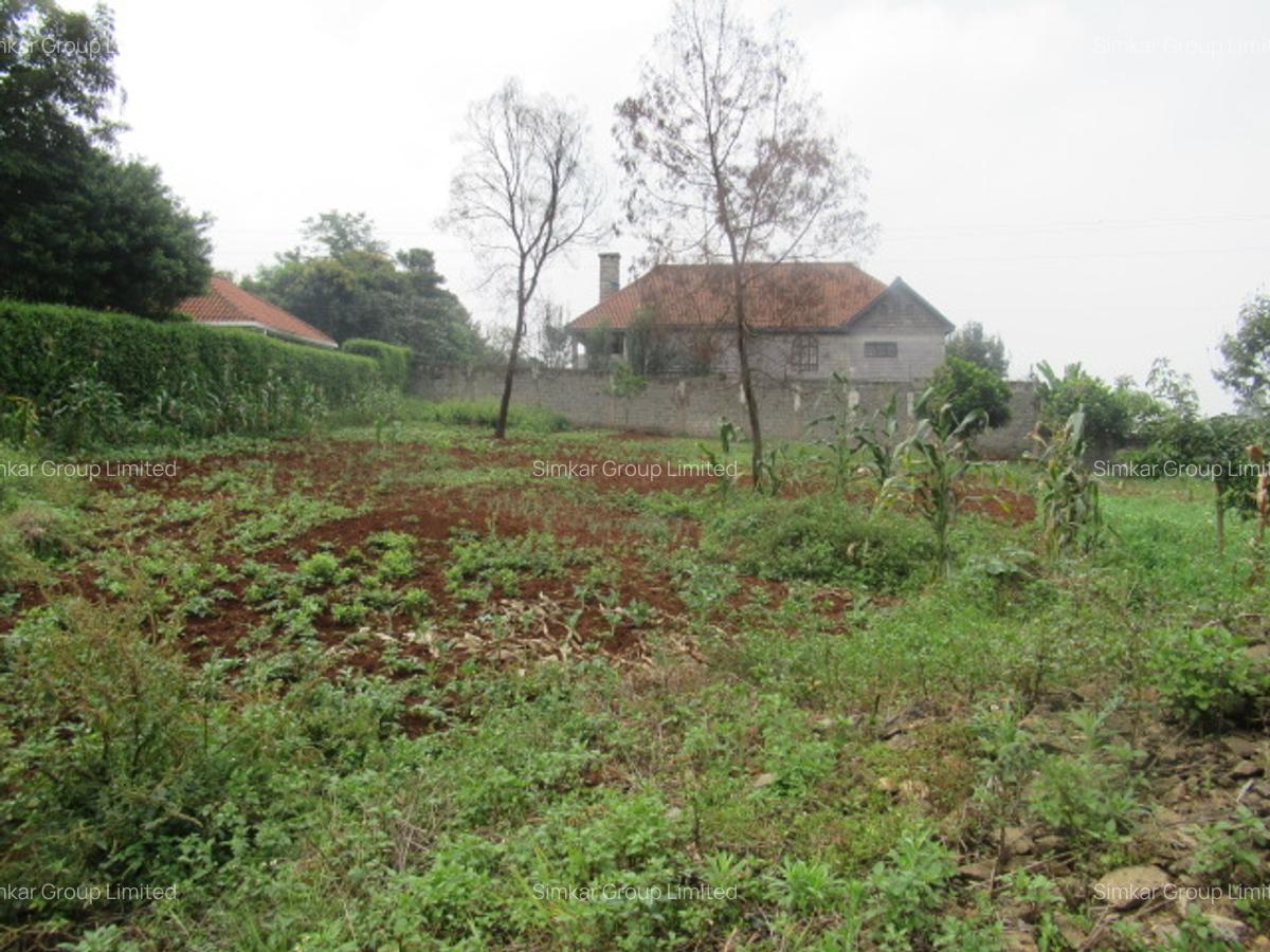 Residential Land at Runda - 10