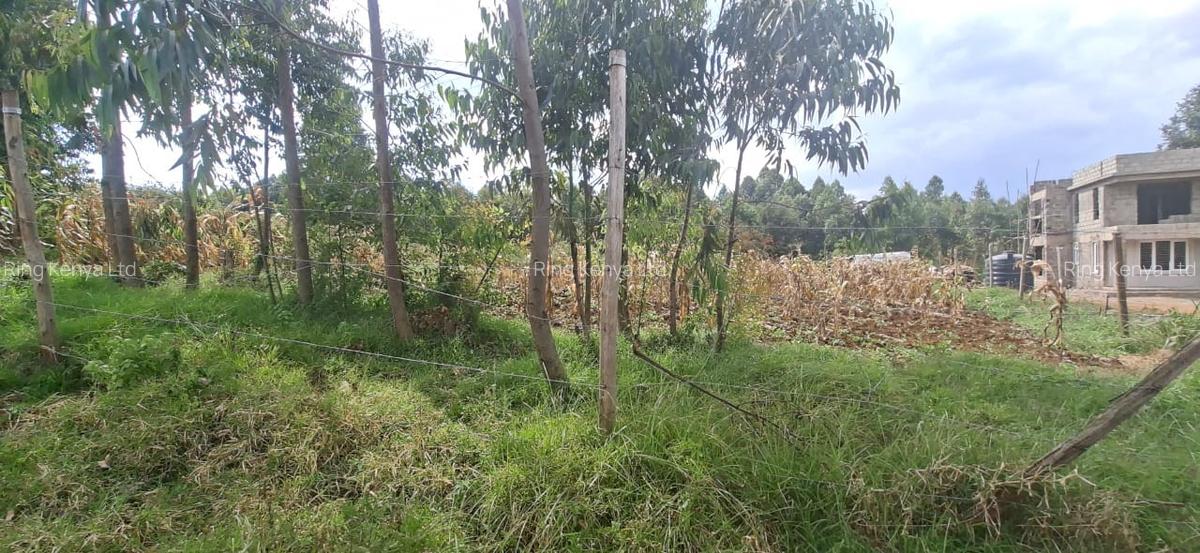 0.25 ac Land in Kamangu - 3