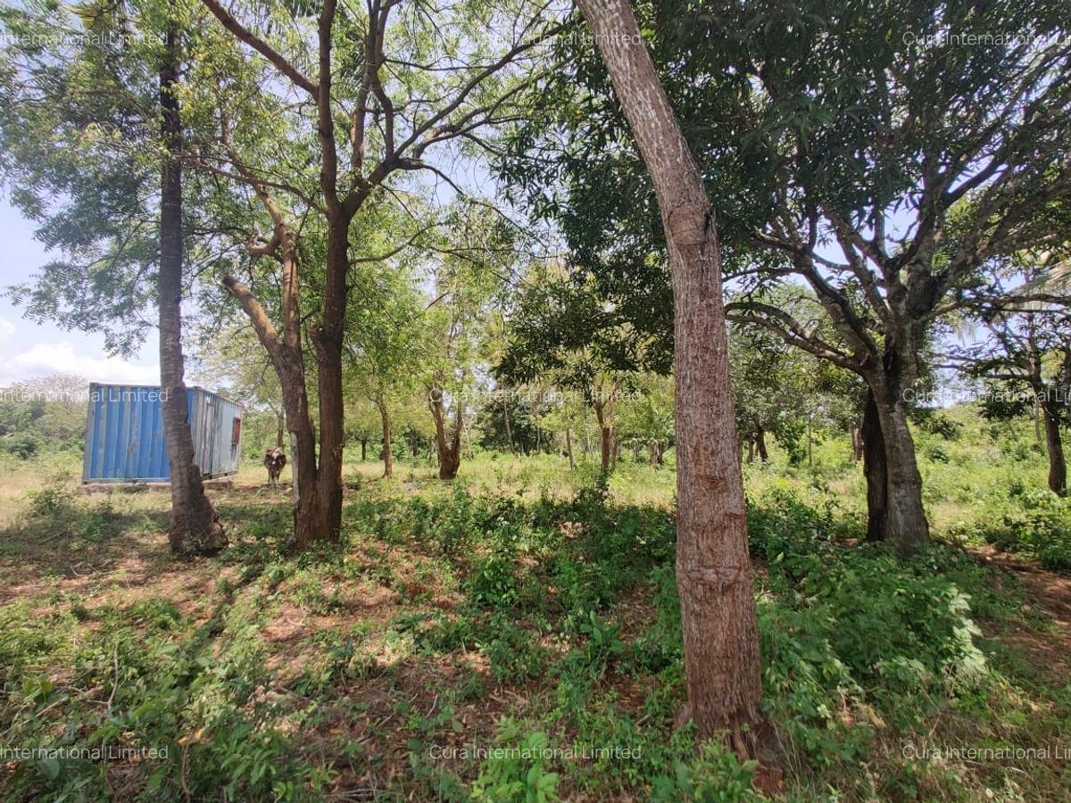 0.25 ac Land in Diani - 3