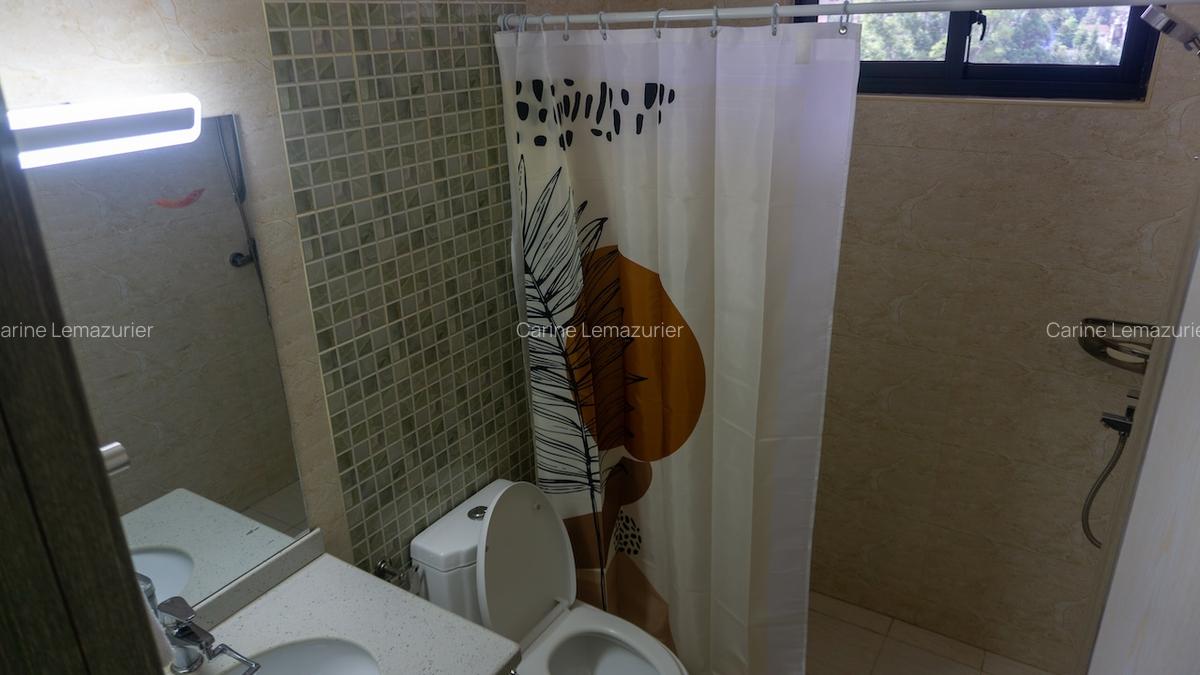 Furnished 3 Bed Apartment with En Suite at Denis Pritt Road - 11