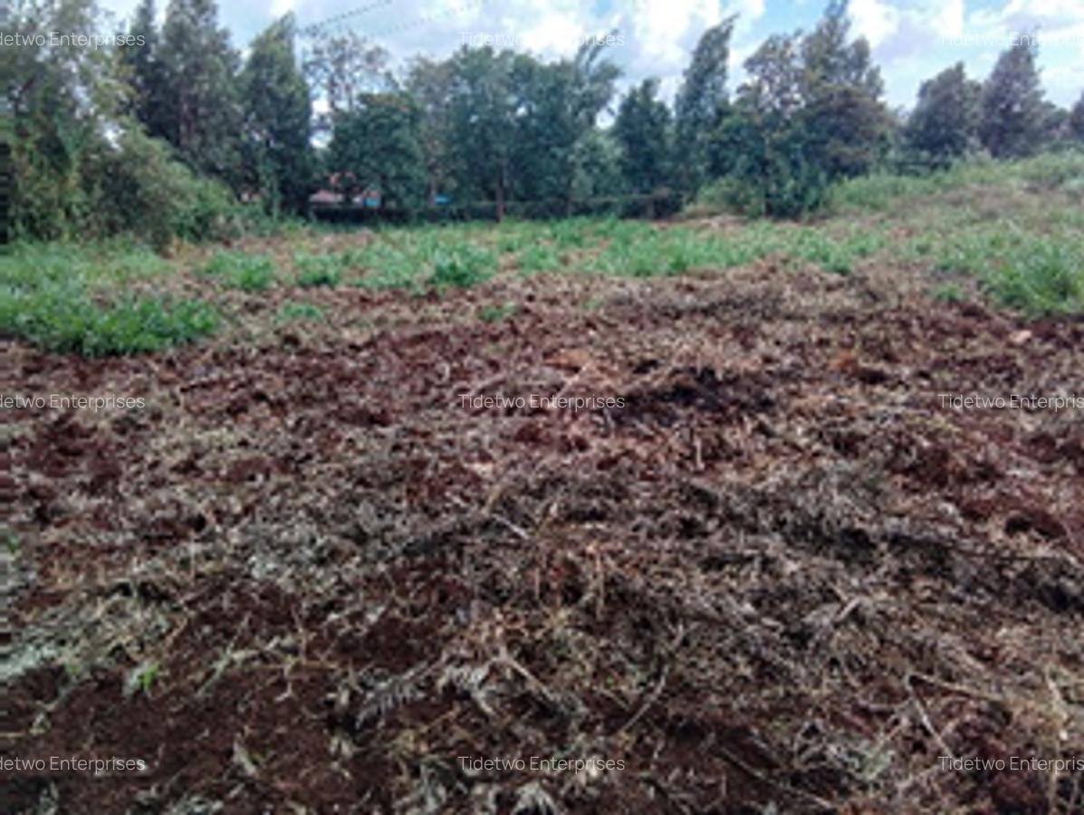 Land in Kikuyu Town - 6