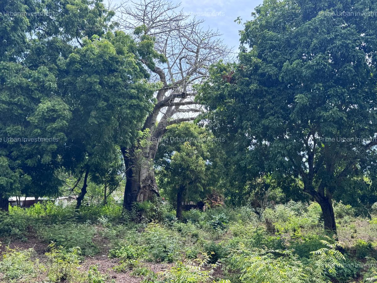 8,093.72 m² Land at Diani 3Rd Row Beach - 11