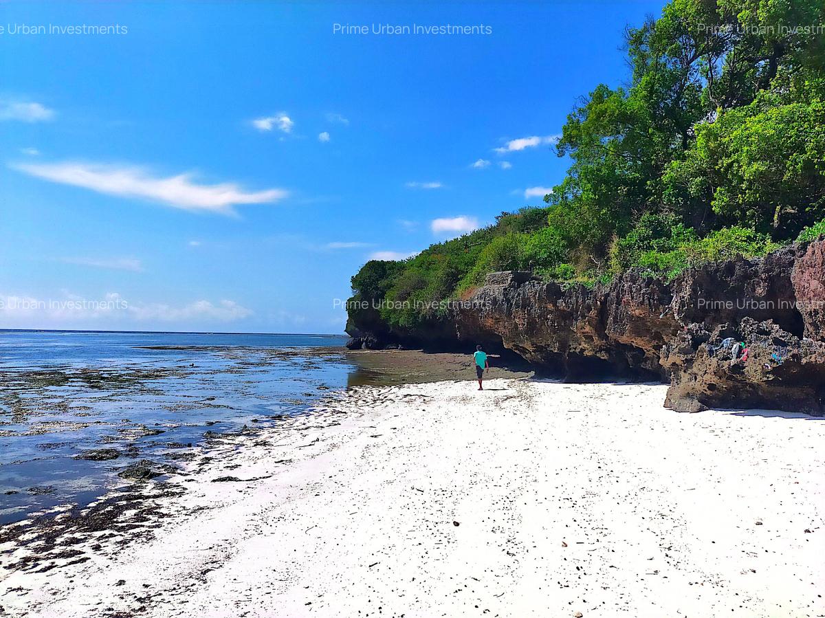 167.5 ac Land at Kuruwitu Beach - 2