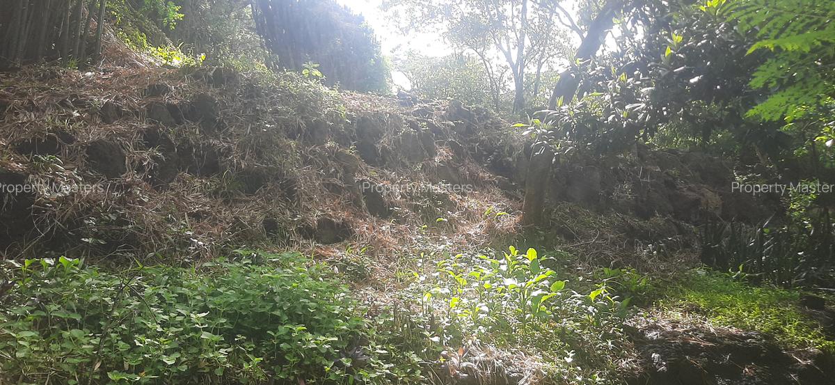 0.75 ac Residential Land at Naivasha Road - 13