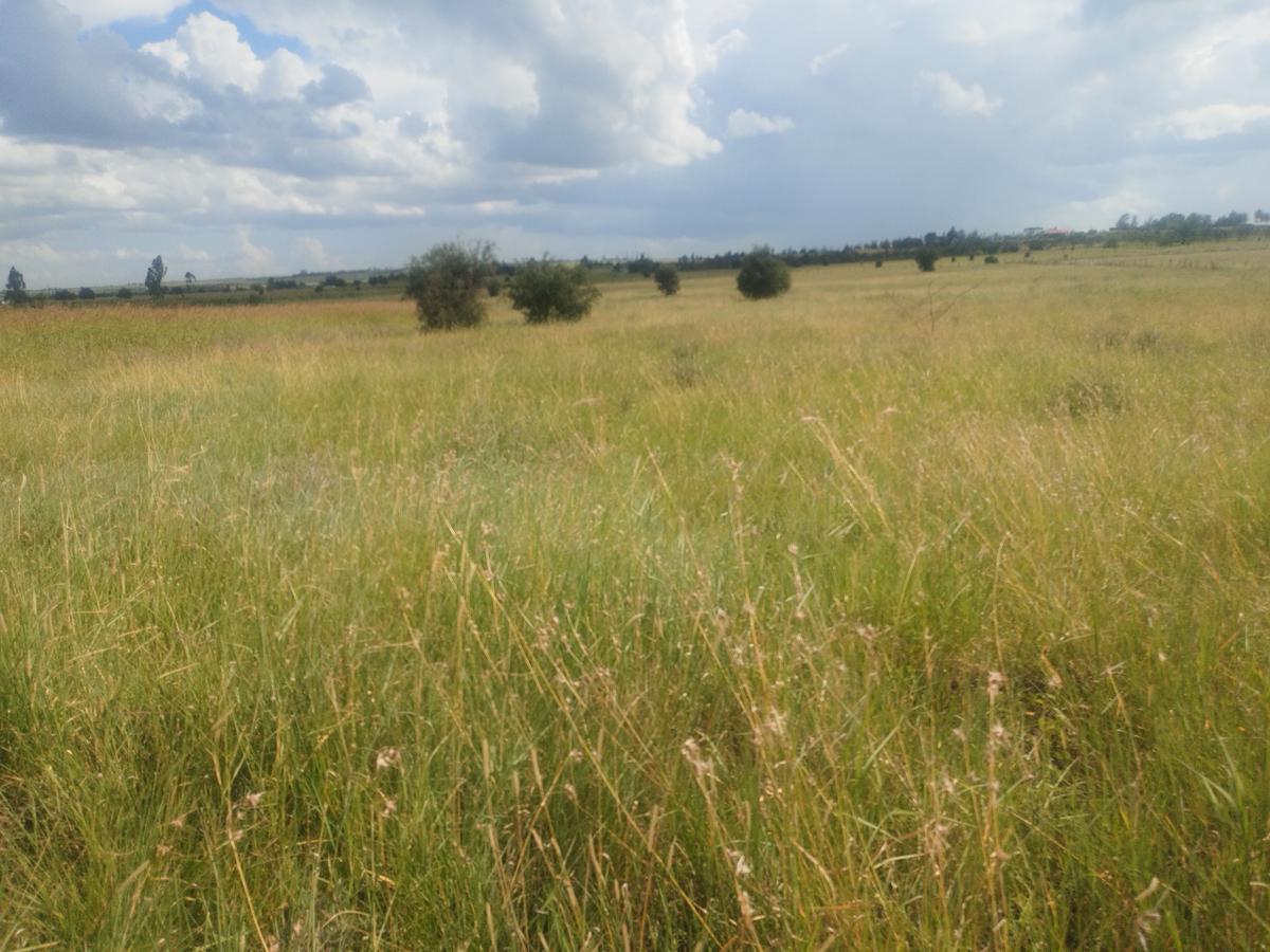 10 ac Land at Kiserian-Isinya Road - 10