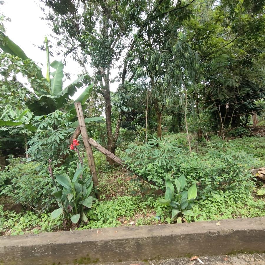 0.5 ac Land at Nandi Road - 15