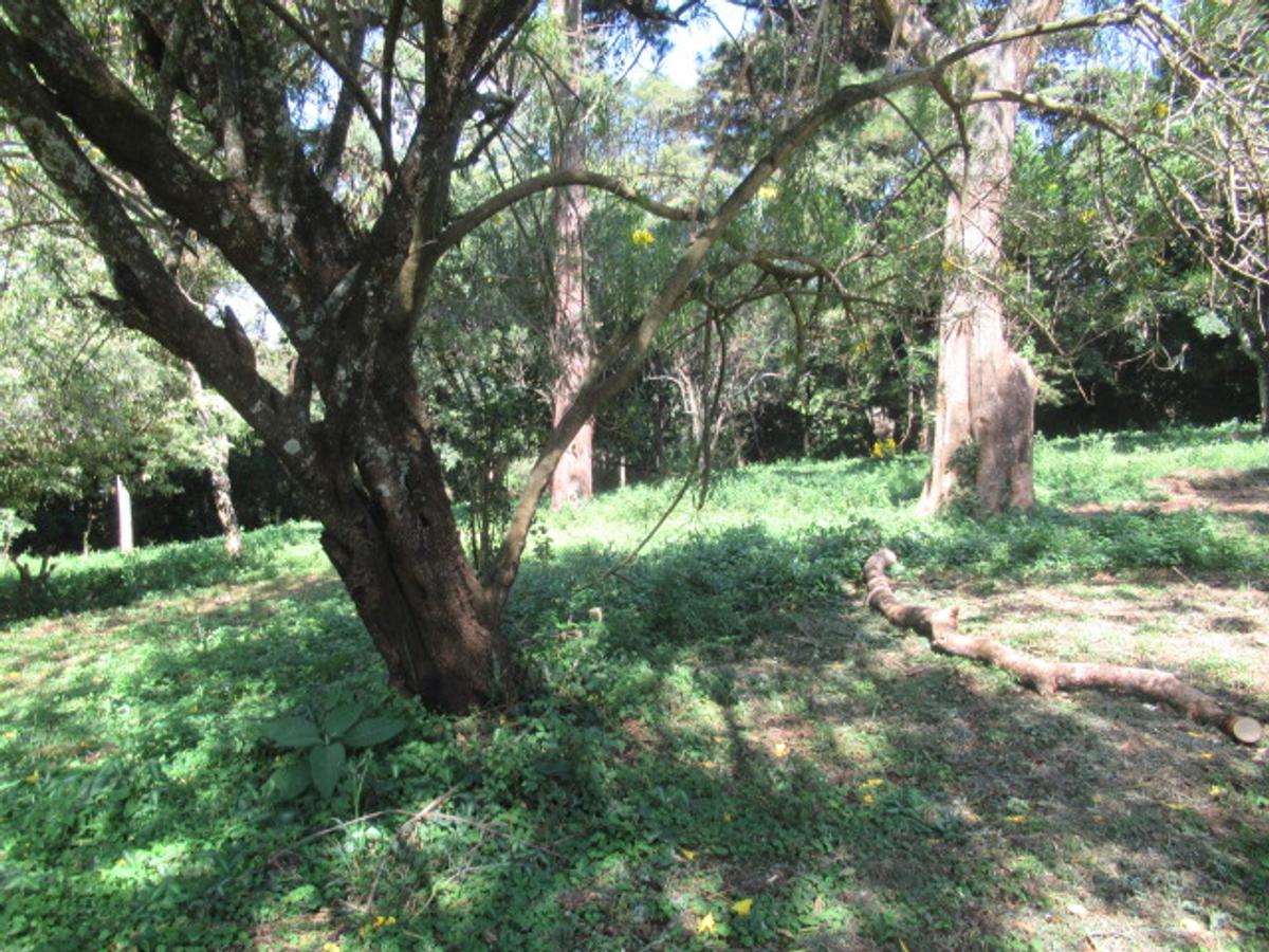 Land at Off Lower Kabete Rd - 17