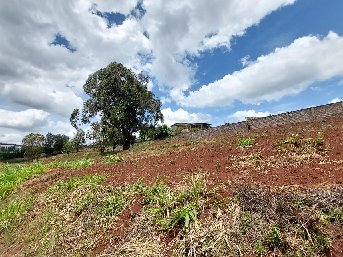 Residential Land at Rosslyn Valley - 2