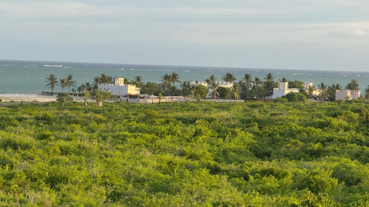 0.125 ac Land at Mayungu - 3