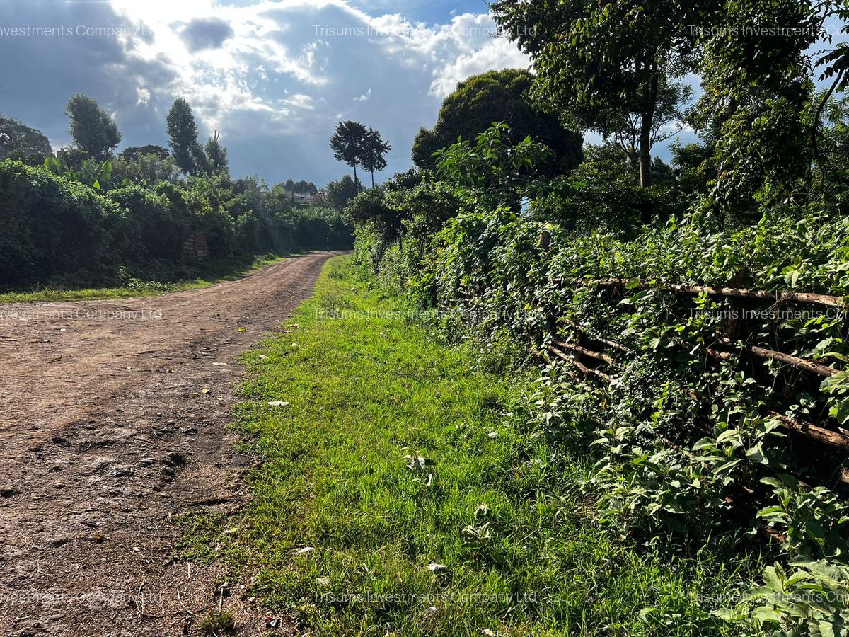 10 ac Land in Banana - 3