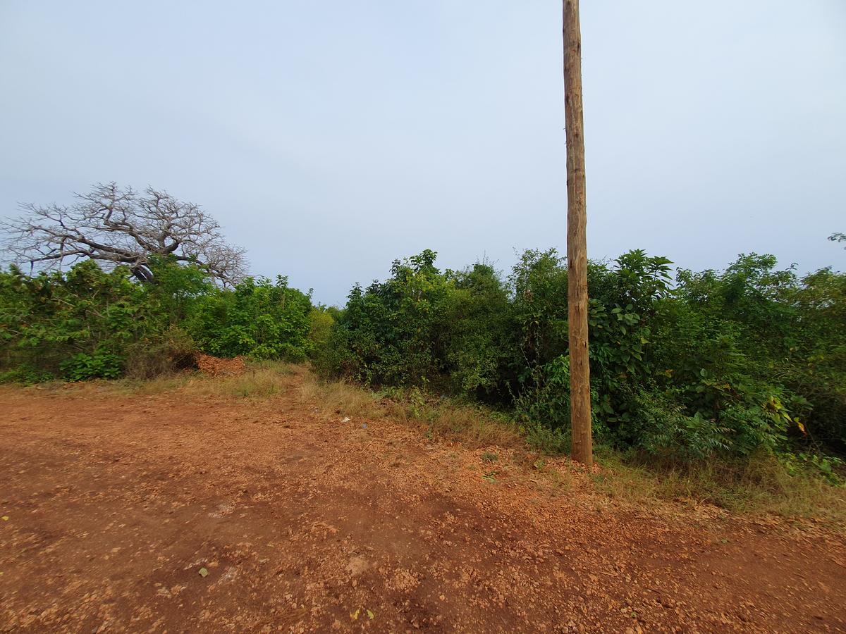 1,000 m² Land in Diani - 9