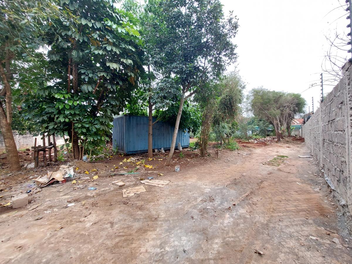 Residential Land at Mimosa Road - 4