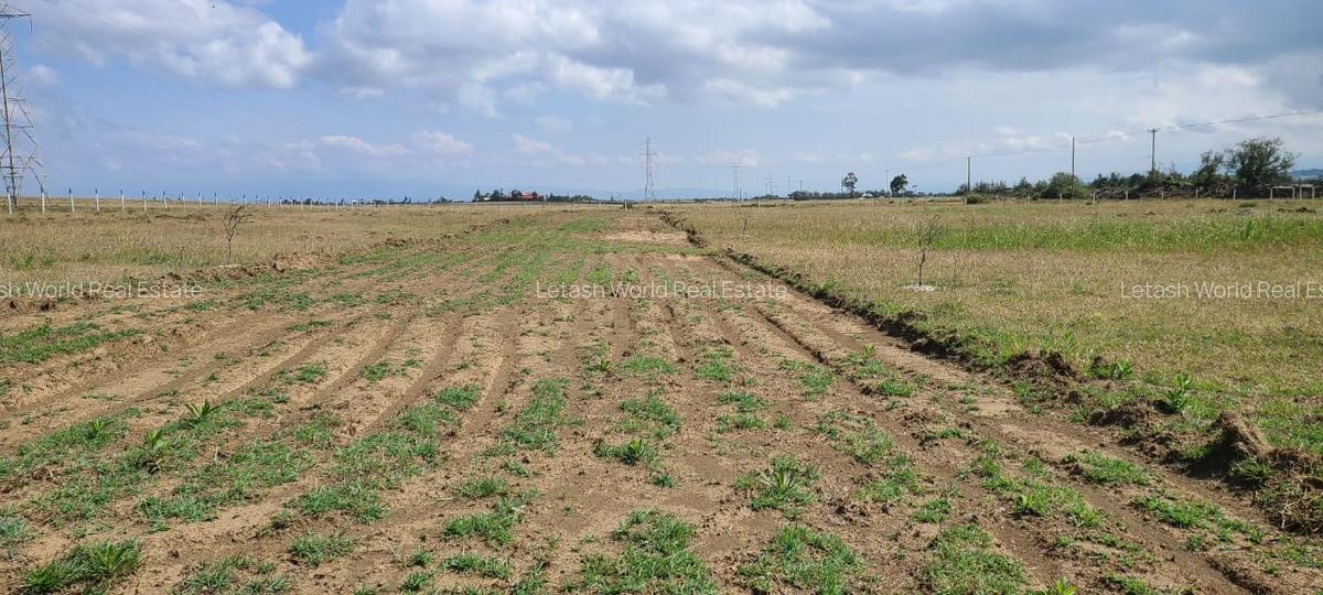 0.125 ac Land at Naivasha - 4