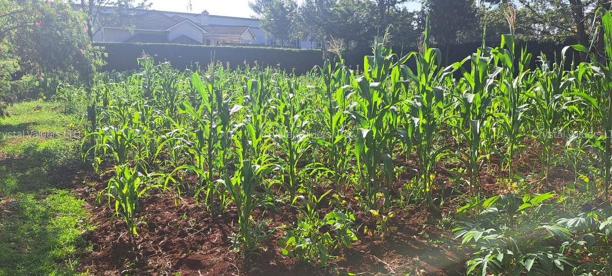 0.4 ac Land at Ridgeways Country Homes - 4