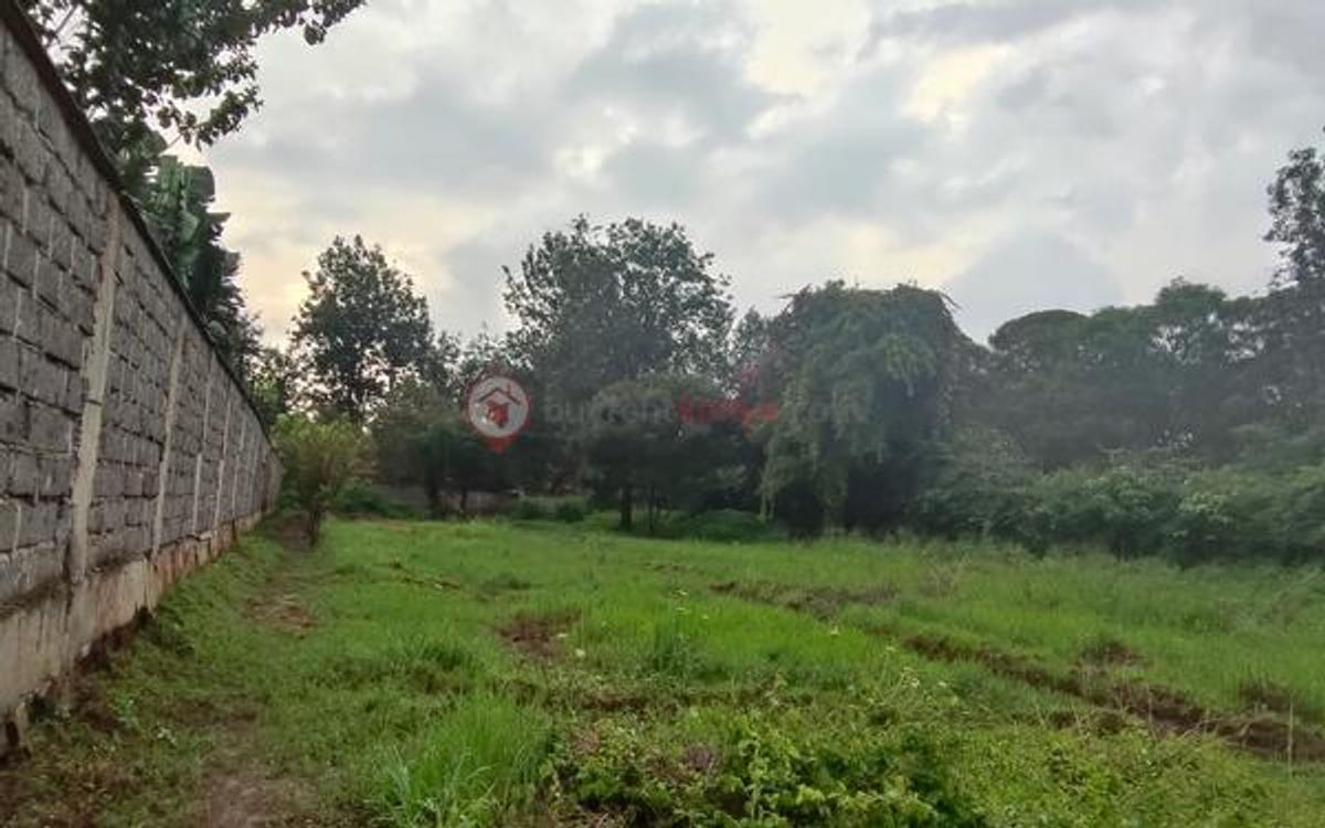 Land at Ndege Road - 12