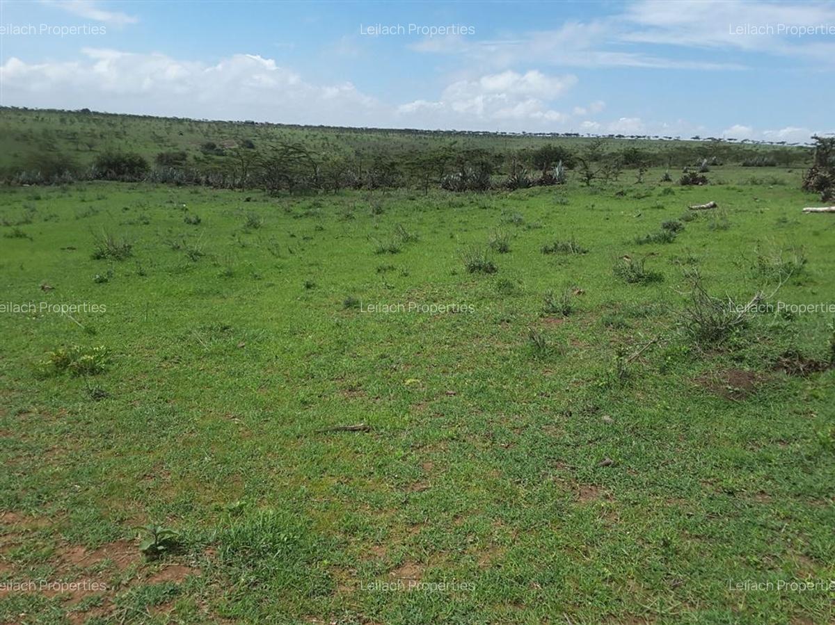 4 ac Residential Land in Kiserian - 2