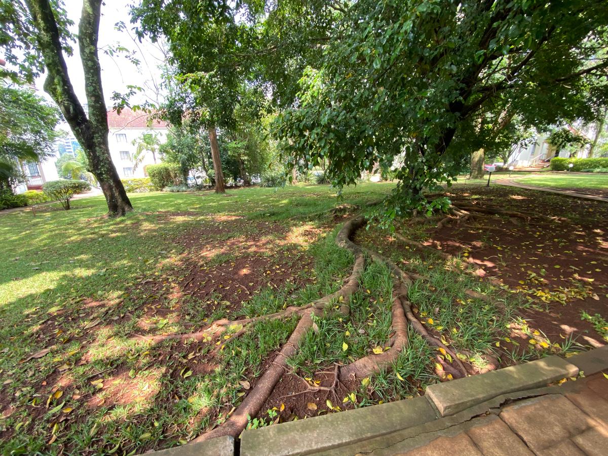 3 Bed Apartment with Swimming Pool in Muthaiga - 2