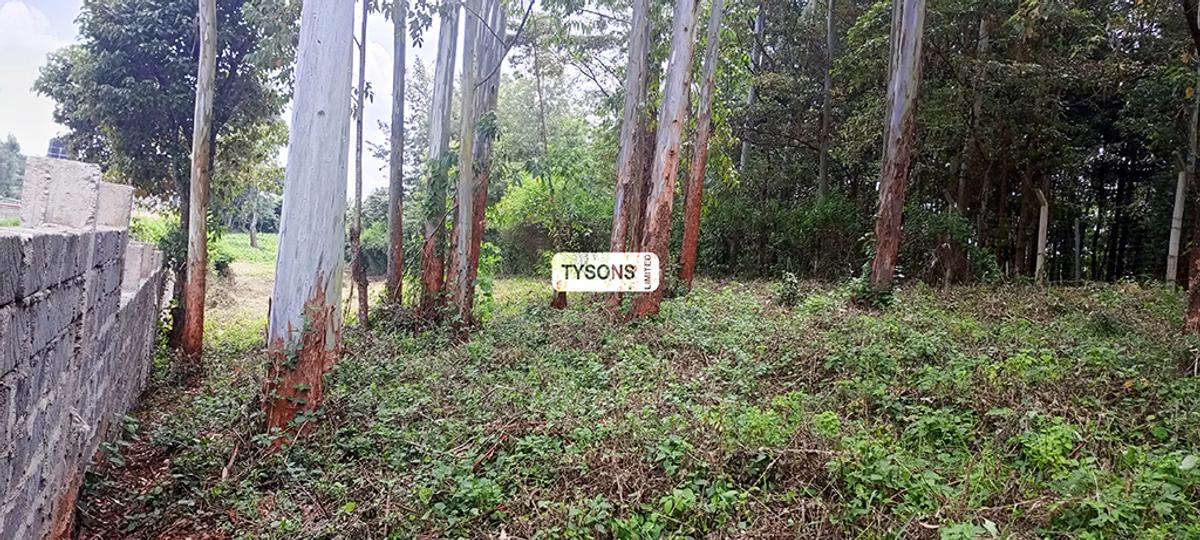 0.156 ac Land in Kikuyu Town - 2