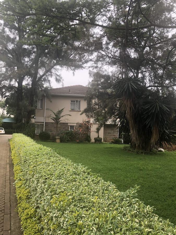 0.47 ac Commercial Property with Parking at Mucai Drive - 4