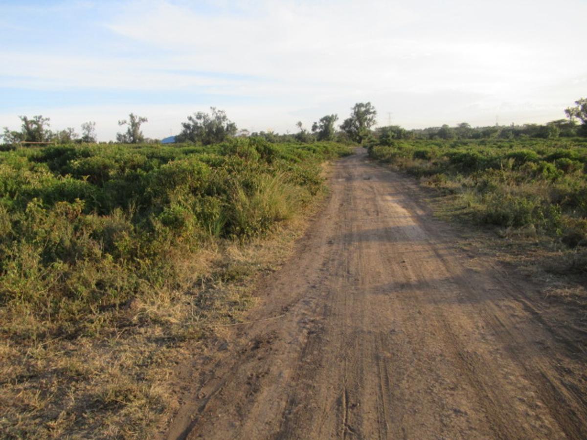 Land at Naivasha Town - 4