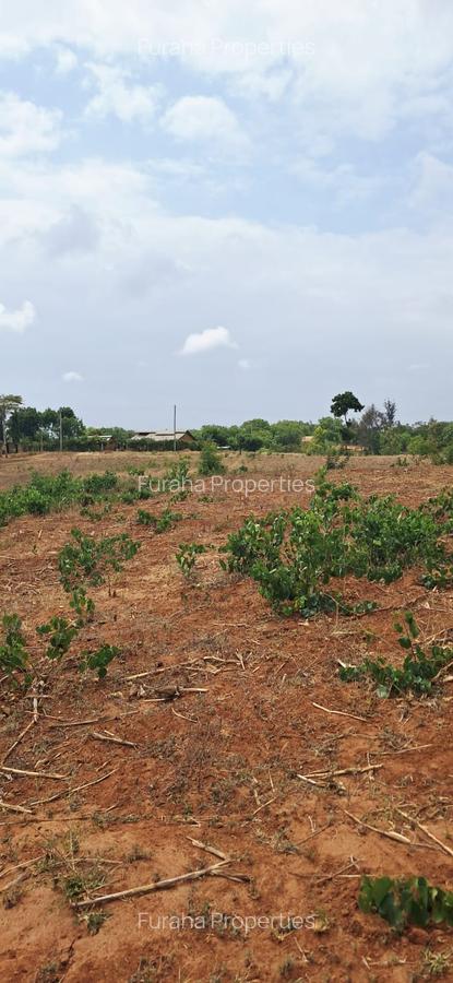 Land in Kilifi - 5