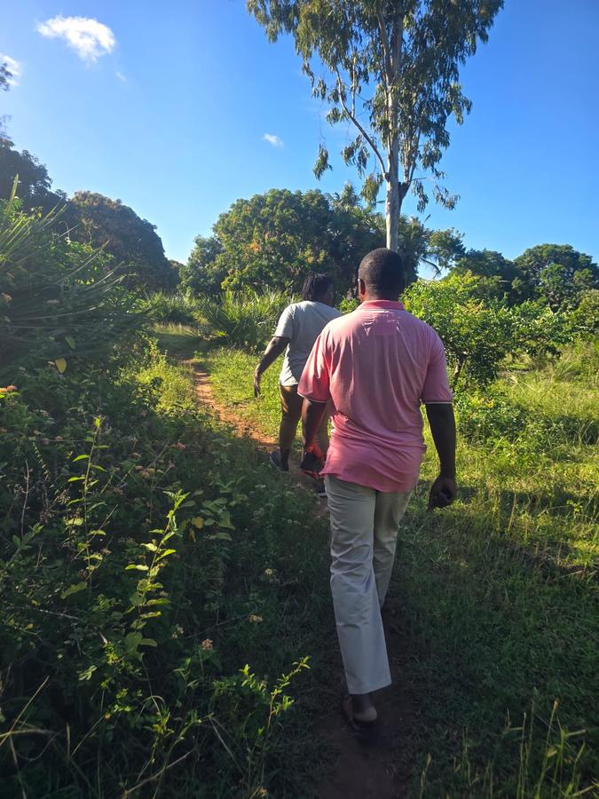 0.05 ha Land at Amani Tiwi Beach Estate - 15