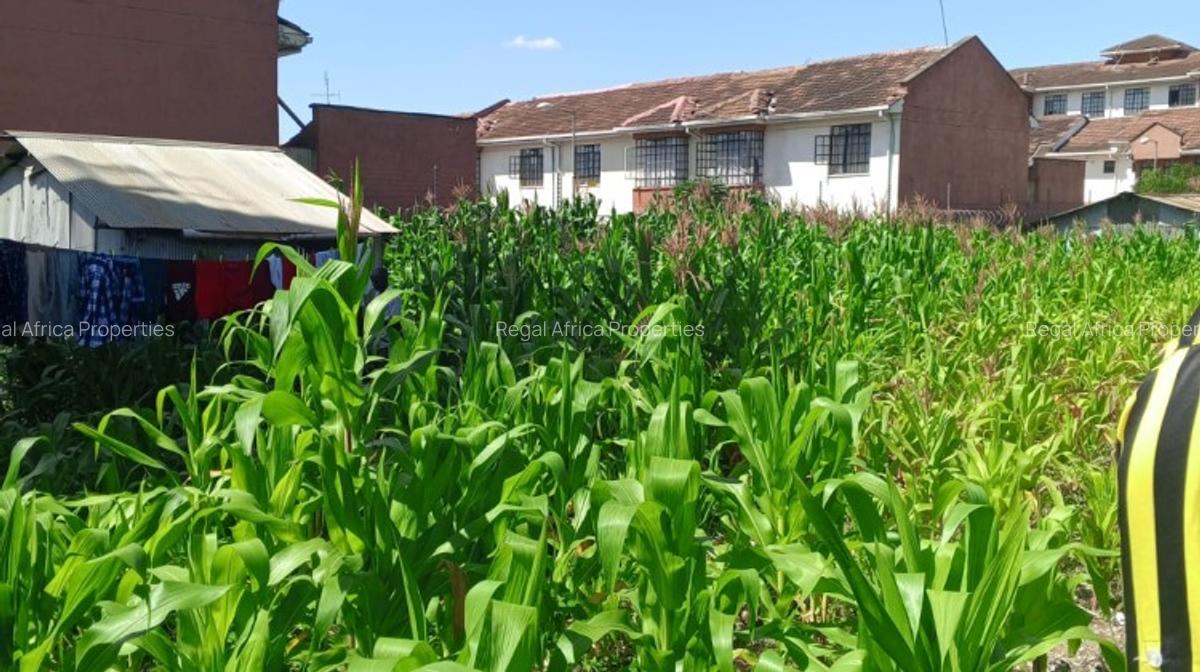 5 ac Land at South B - 1