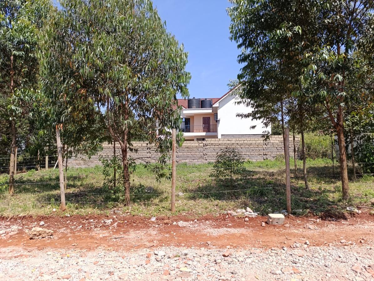 0.05 ha Residential Land at Ondiri - 8