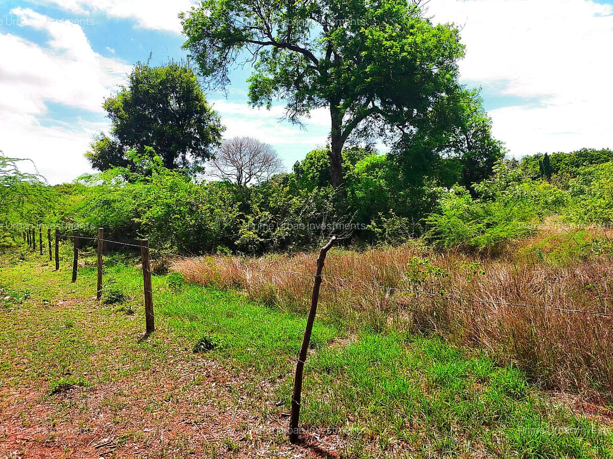 16,187.44 m² Land at Kilifi Bofa Beach Road - 1