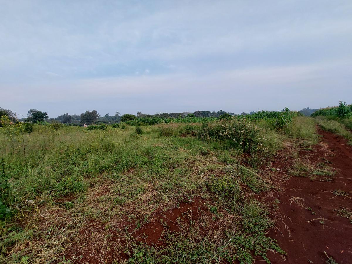 Residential Land at Kirawa Road - 1