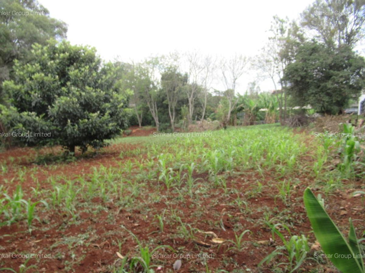 Residential Land at Karen Hardy - 11