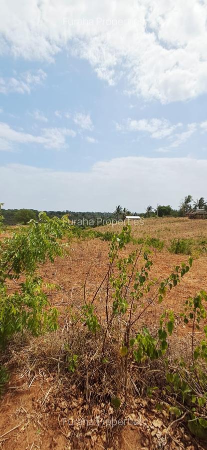 Land in Kilifi - 3