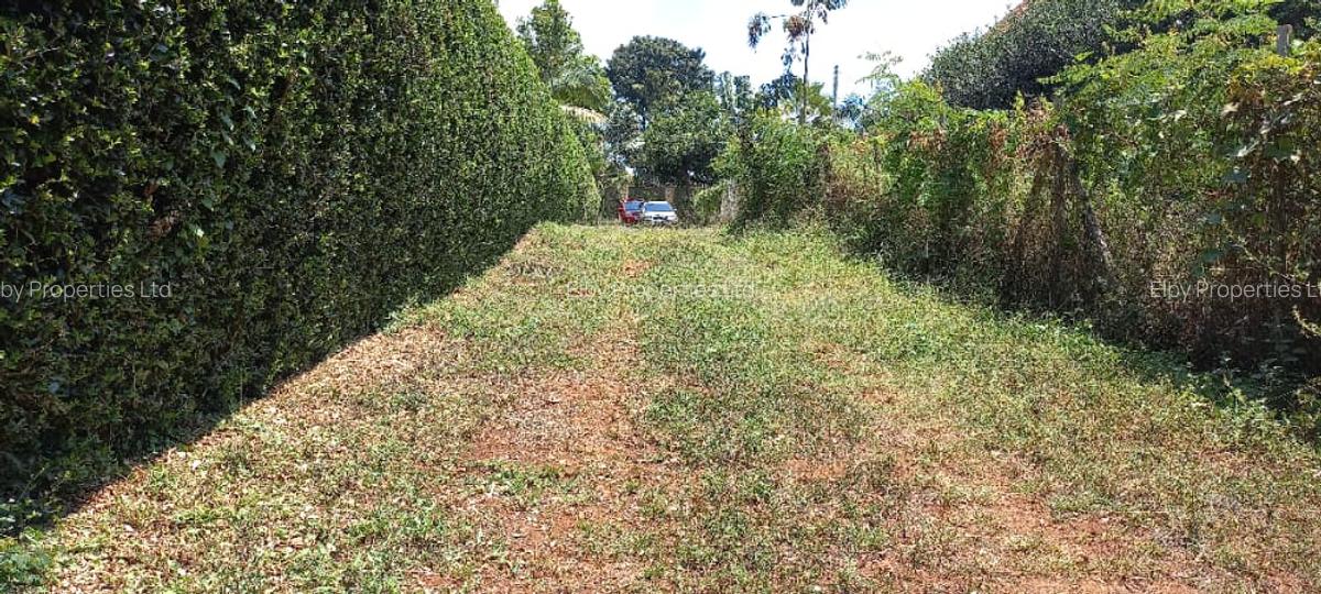 0.5 ac Residential Land at Muthithi - 2