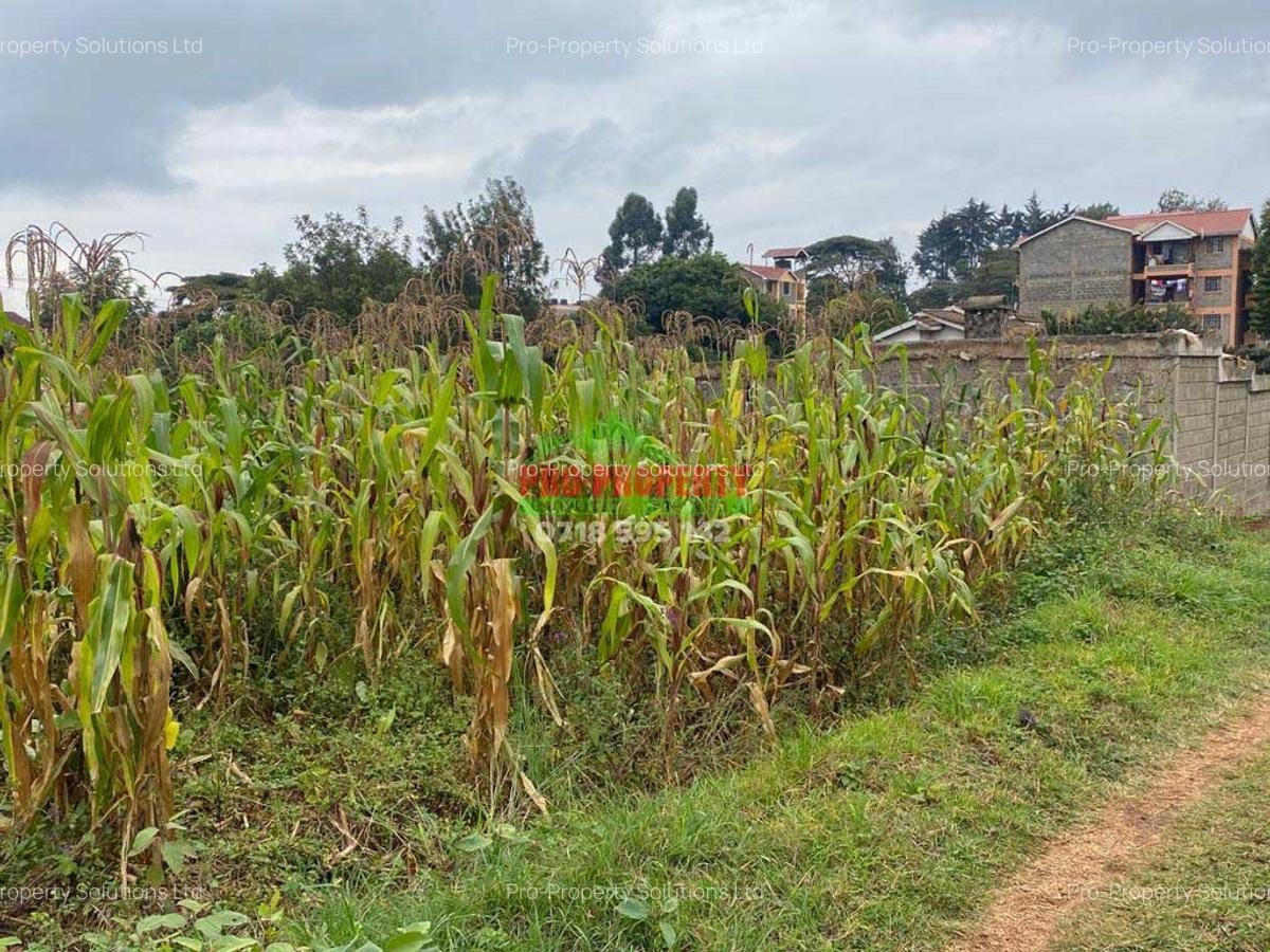 0.05 ha Commercial Land in Kinoo - 4