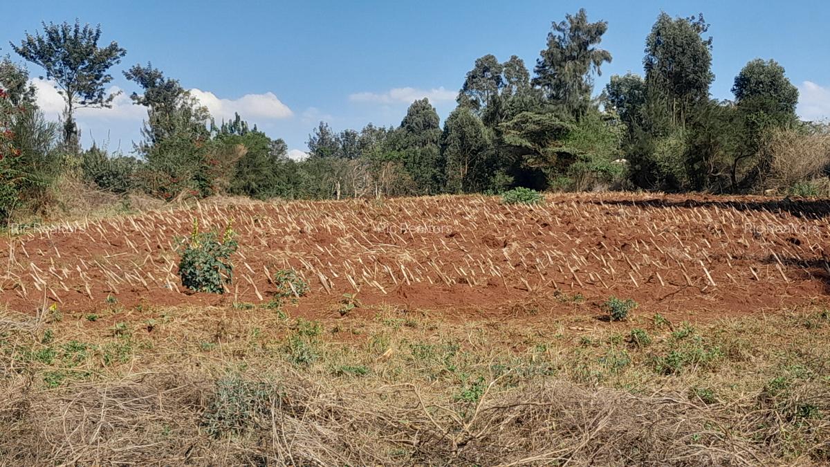 1.5 ac Residential Land at Kibiko - Ngong - 18
